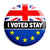 Remain I Voted to Stay Referendum - EU European Union Button Badge