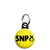 SNP Party Logo - Scottish Political Election Mini Keyring